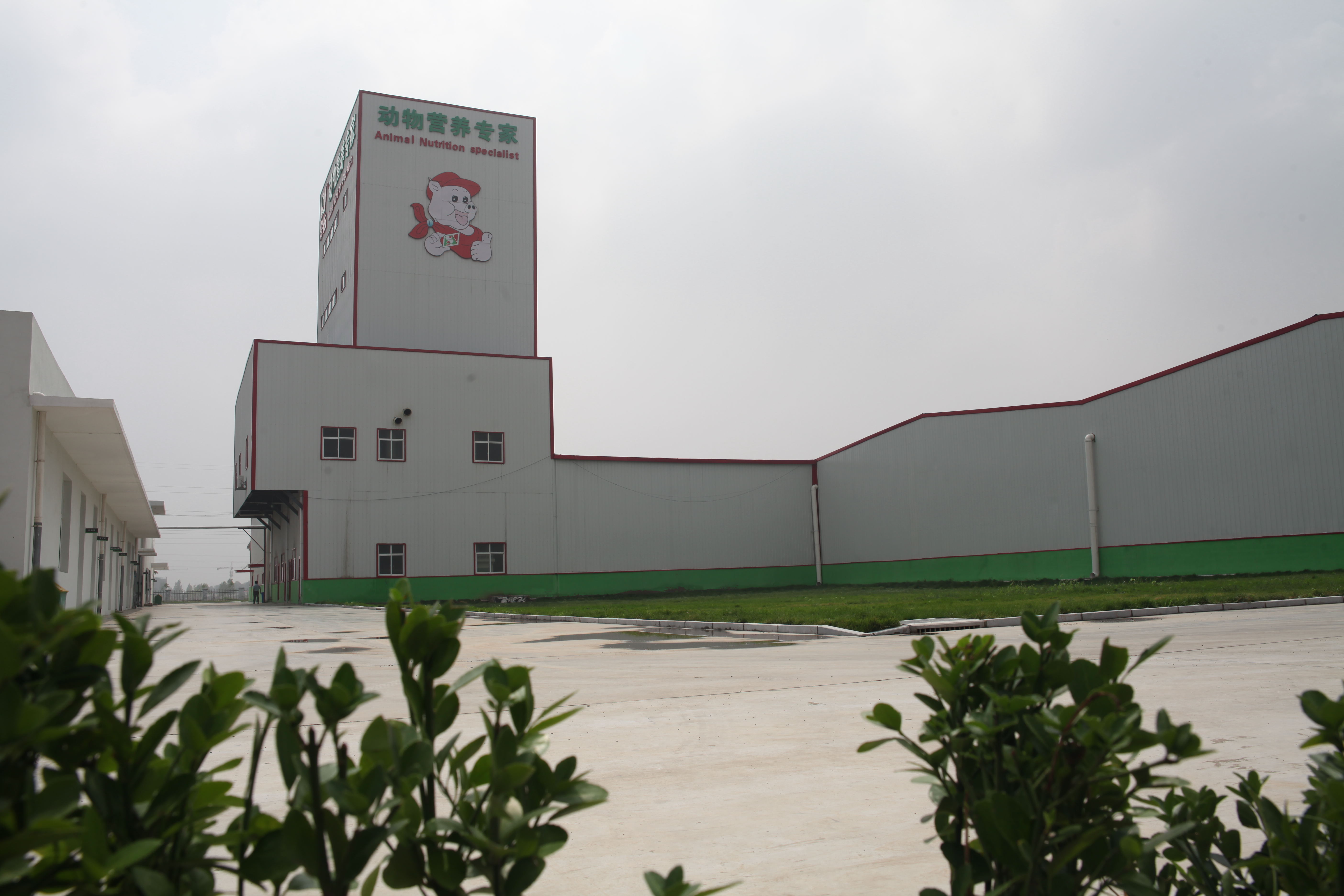 安佑生物科技集團股份在邢臺 創新驅動與區域發展的典范